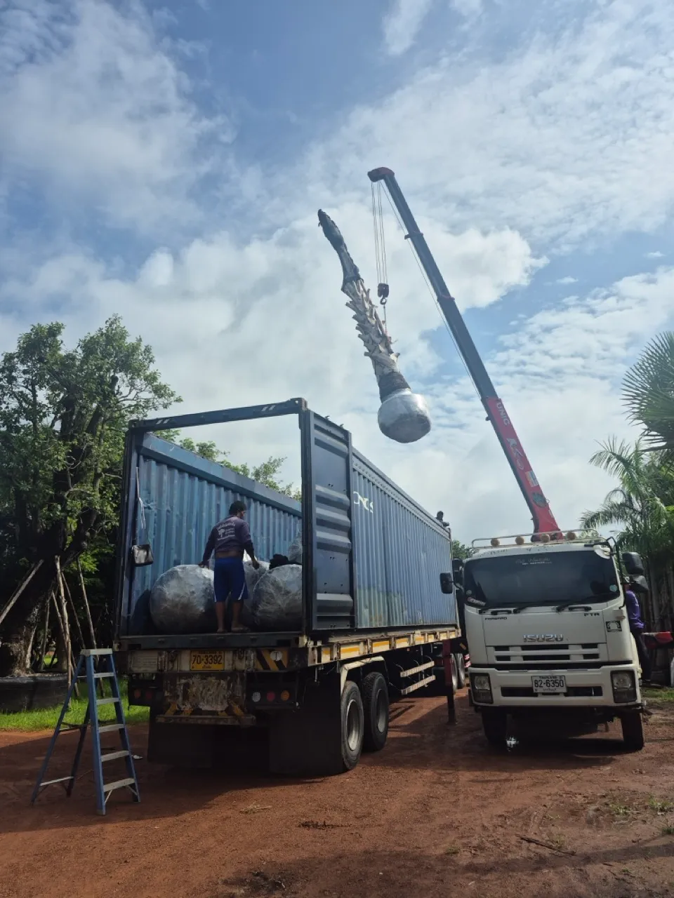 Crane lowering a root-balled tree into an open-top container