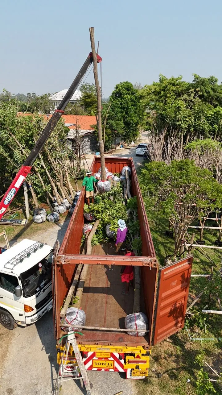 Aerial view of a container being loaded at the farm