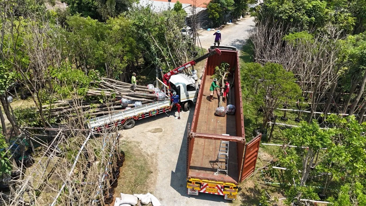 Crane working beside a container at the nursery