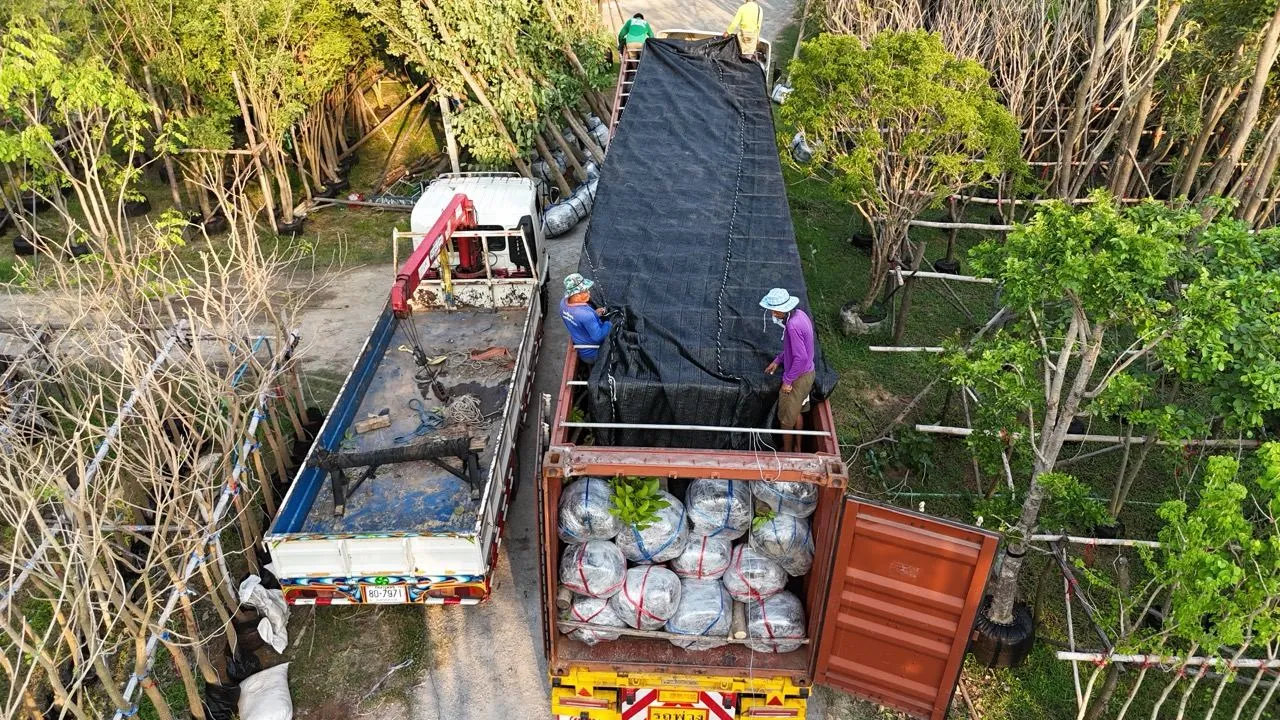 Aerial view of a loaded container being sheeted over