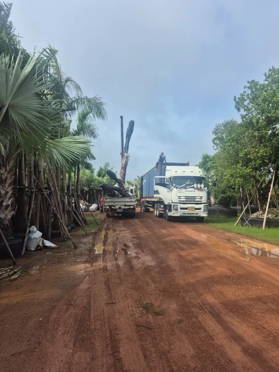 Crane truck and container trailer on the farm road