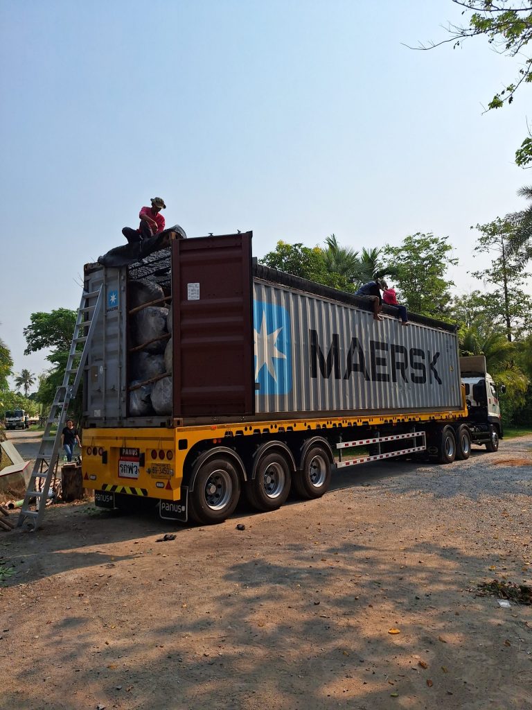 Workers fitting the tarpaulin over a 40 ft open-top container loaded with wrapped root balls and timber bracing at the Thailand Tree Farm nursery, ready to leave for Laem Chabang